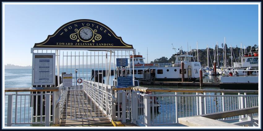 Tiburon (Californie)