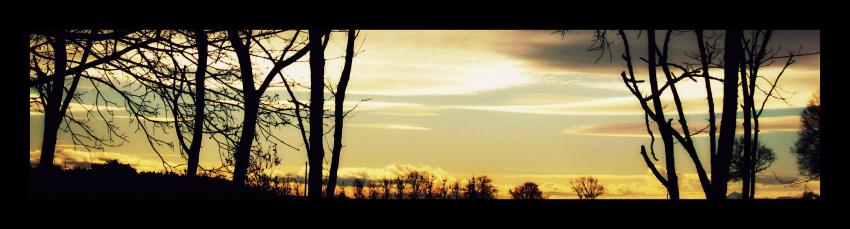 l'hiver au lever du soleil