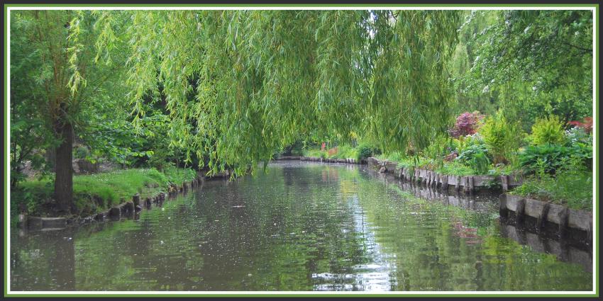 Amiens (80) Les Hortillonnages