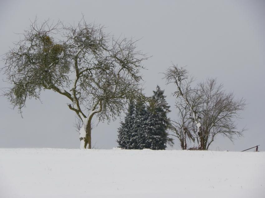 Collection hiver(2)