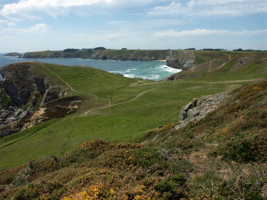 Belle-Ile-en-mer,vallon d'Herlin.