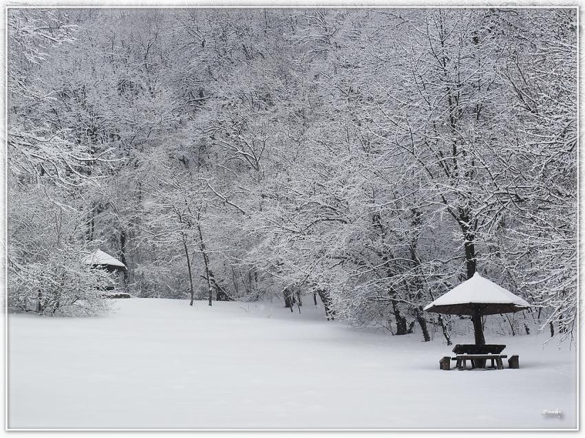 Neige 120310 4b