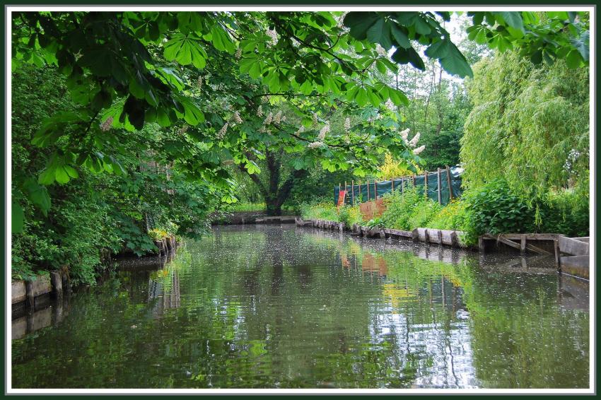 Amiens (80) Les Hortillonnages