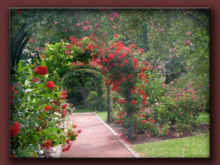 Jardin des plantes 