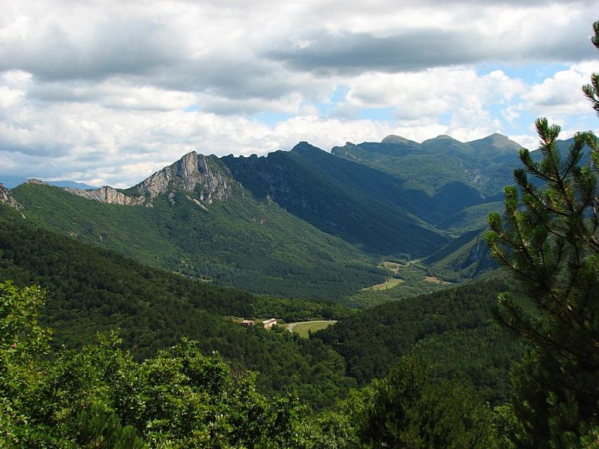 La Grande Combe ( foret de Saou )