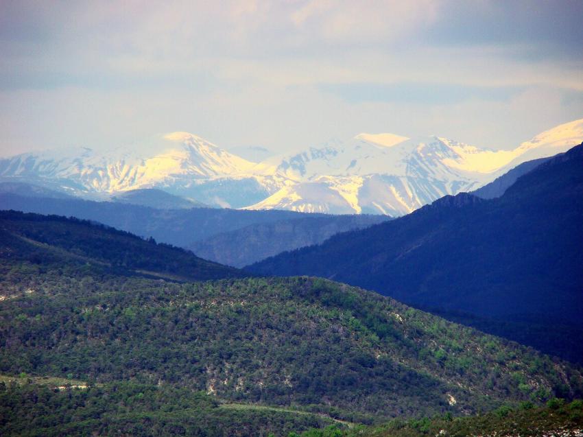 neigeau moi de mai