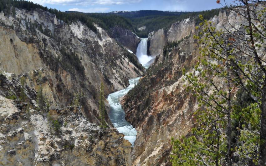 Lower falls Yellowstone