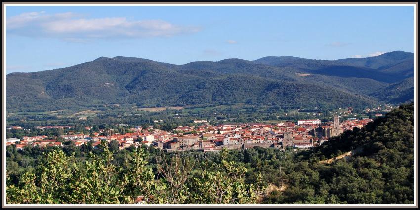Ille sur Tt (66)