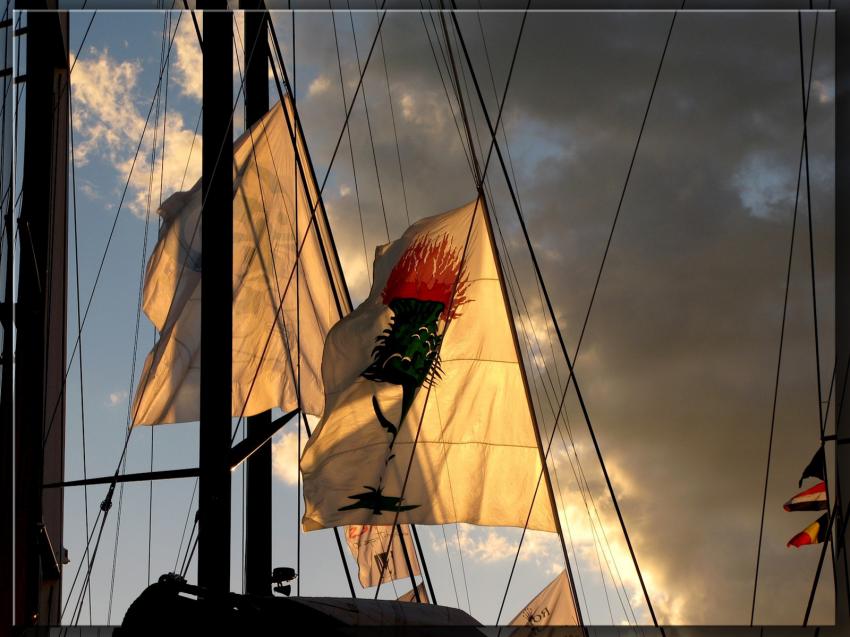 Voiles de Saint Tropez