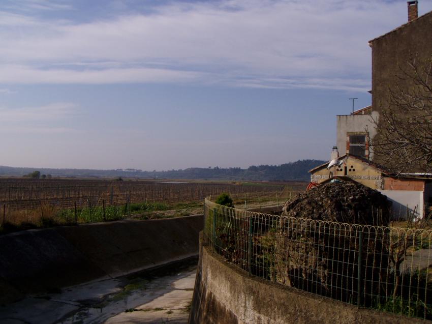 montady
