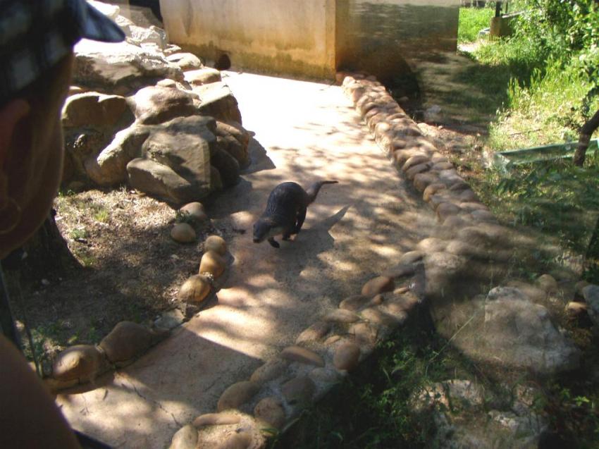 zoo