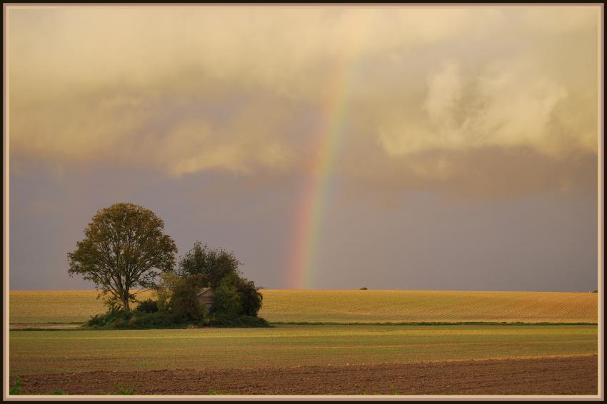 Orage