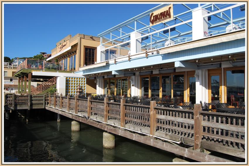 Tiburon (Californie)