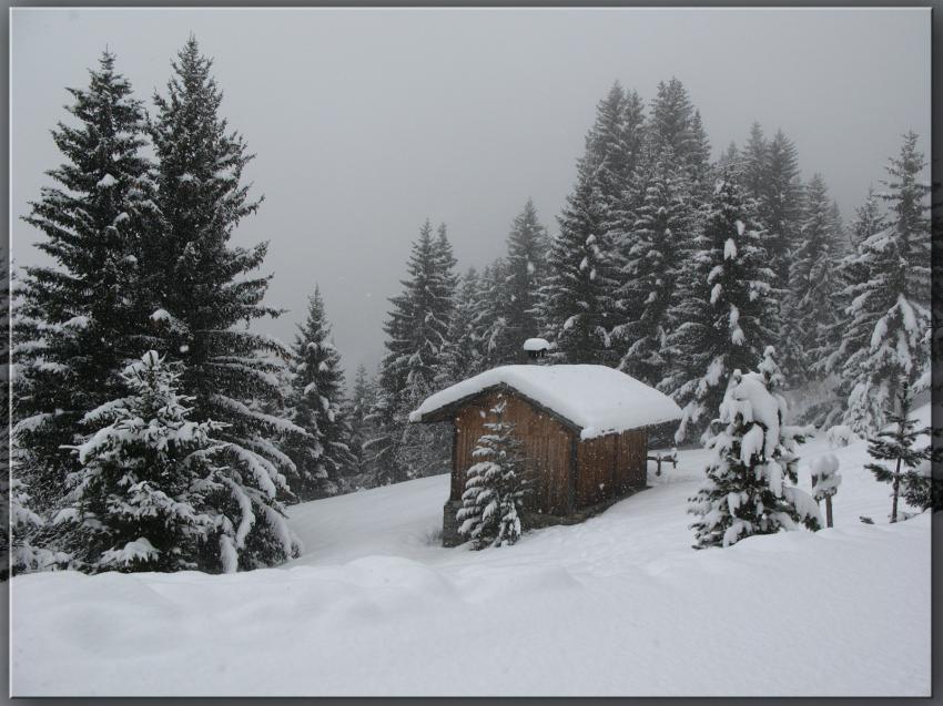 Tombe la neige