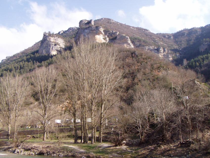 les vignes