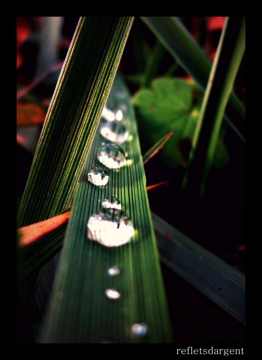 perles naturelles (mais fragiles)