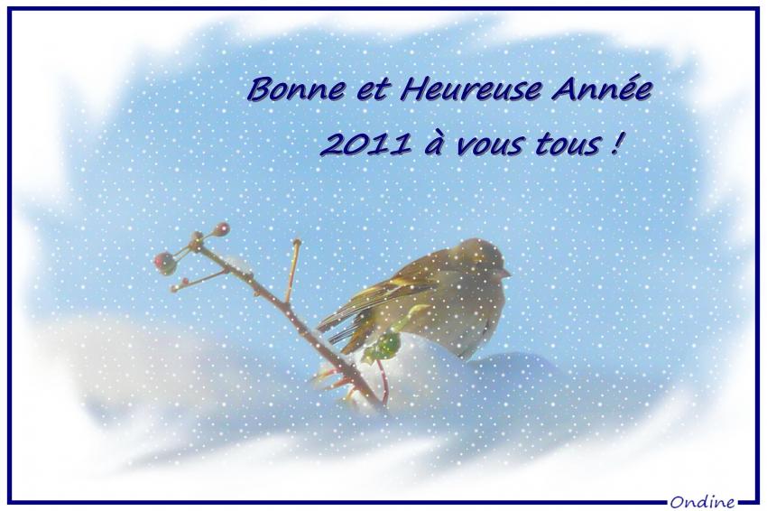 Bonne et heureuse anne 2011  tous !