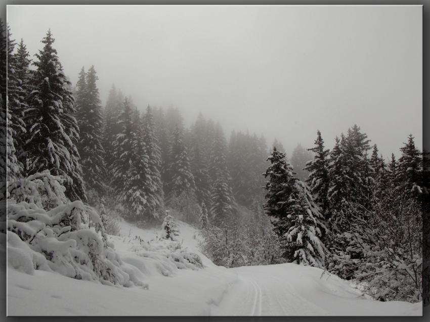 Neige
