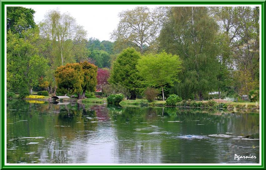 Jardin de printemps.