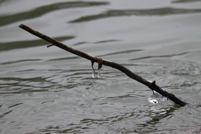 Equilibre