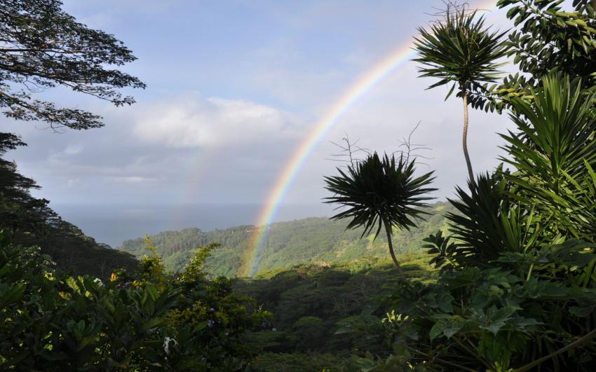 Arc en ciel