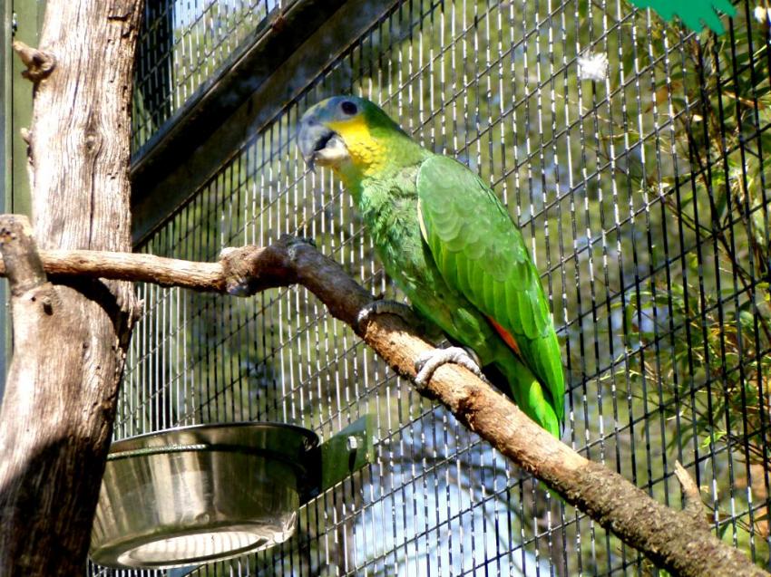 zoo