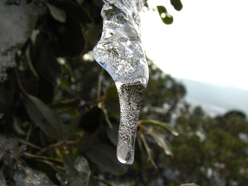 Glaon