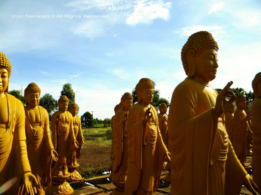 Buddha Statues