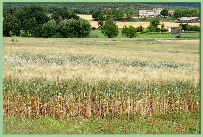 Aprs l'orage