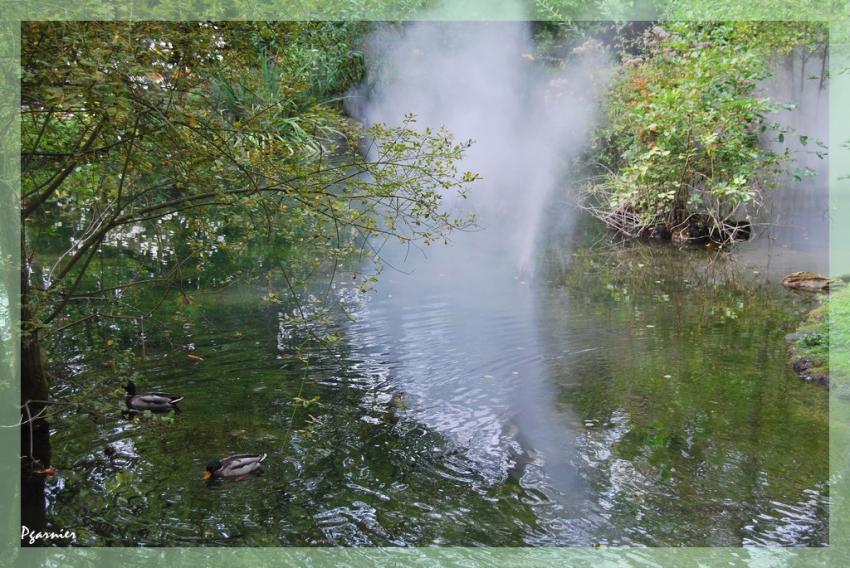 Les jardin du clos Luc