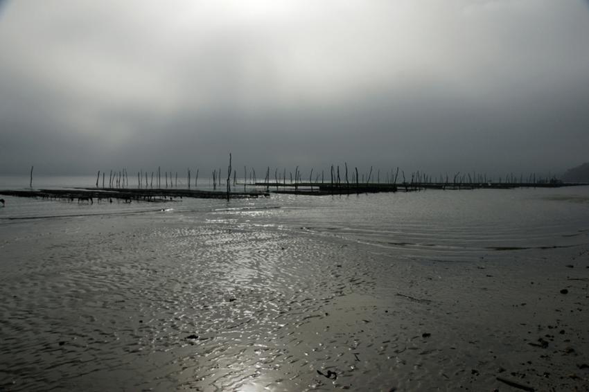 Presqu'le du Cap-Ferret