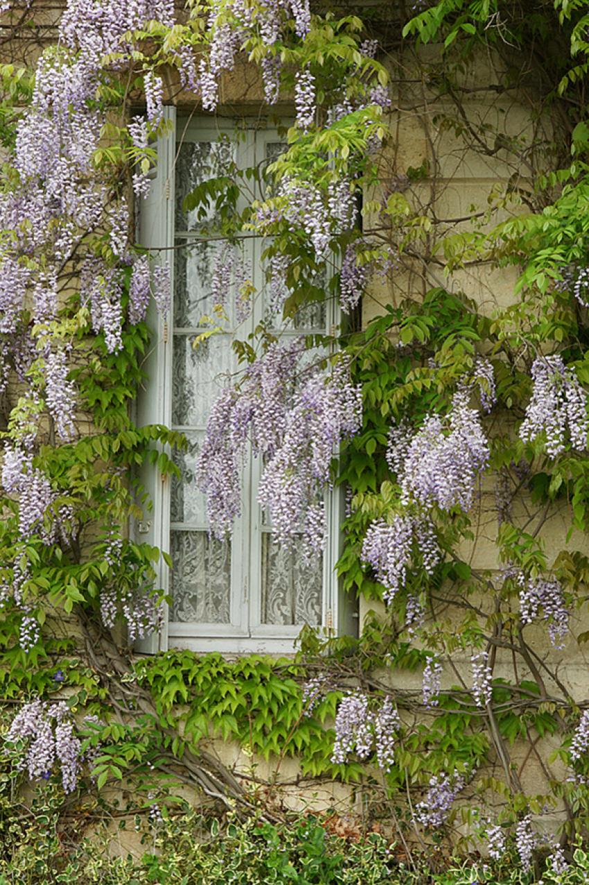 Le Printemps