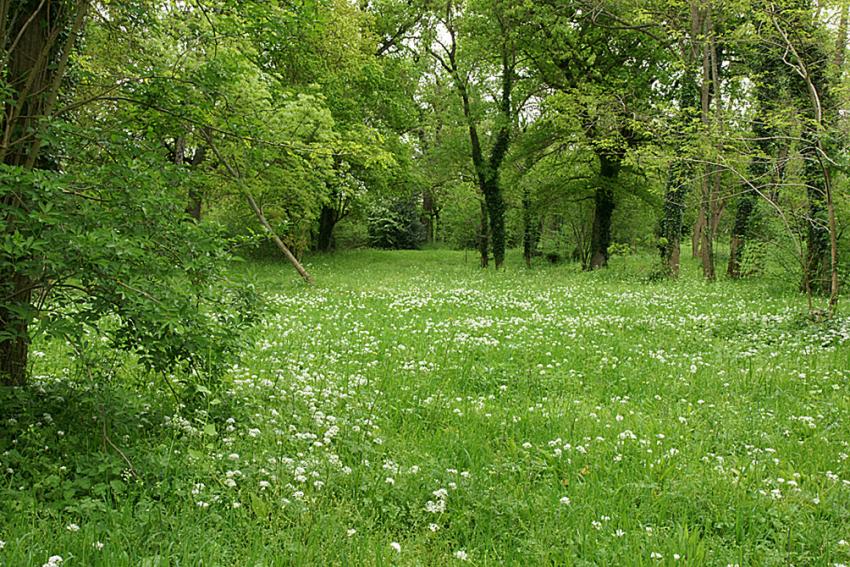 Le Printemps