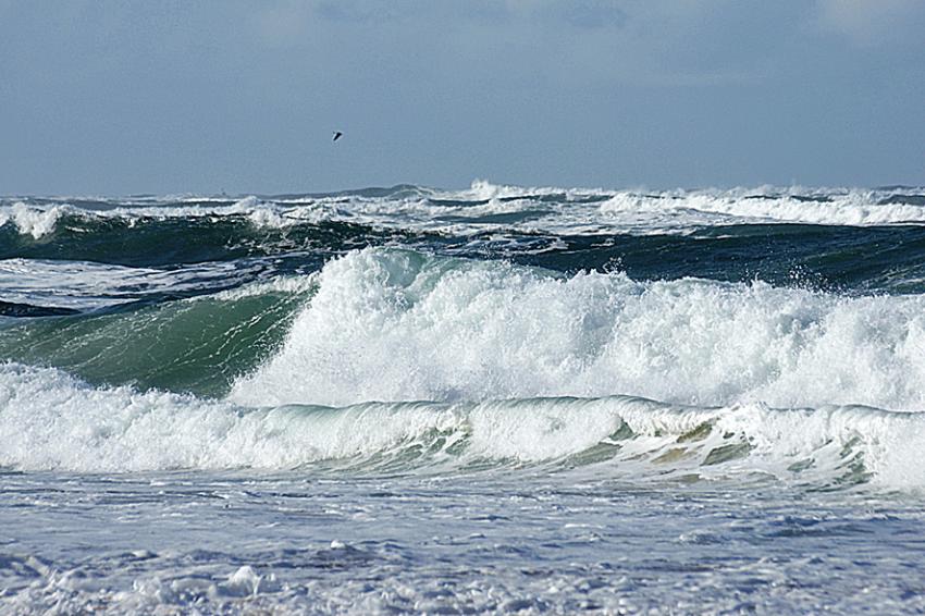 Histoire de Vagues