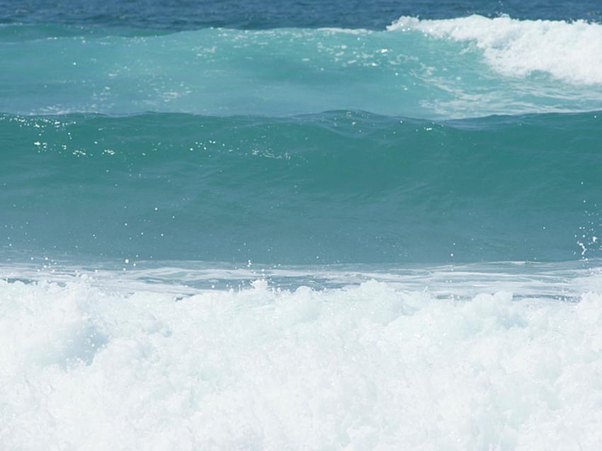 VAGUES