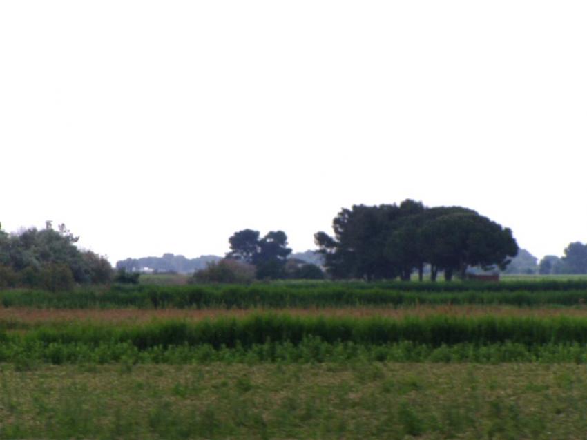 rte de la petite camargue