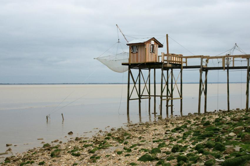 Bords de Gironde