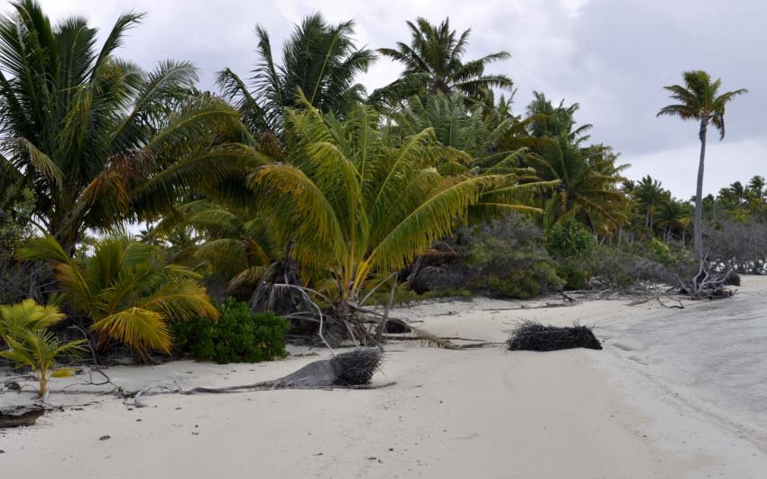 Plage de Tetiaroa