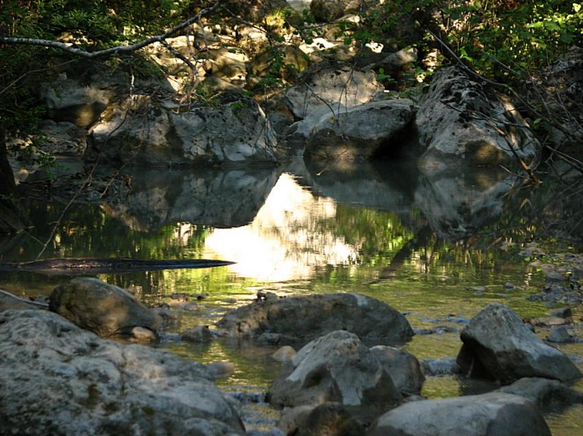 Le torrent des Archettes 