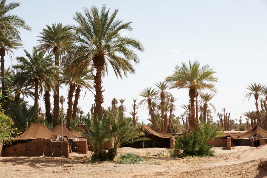 TREK Sud Marocain