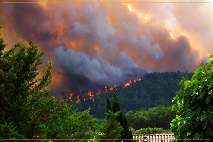 Incendie dans la Clape, prs de Narbonne