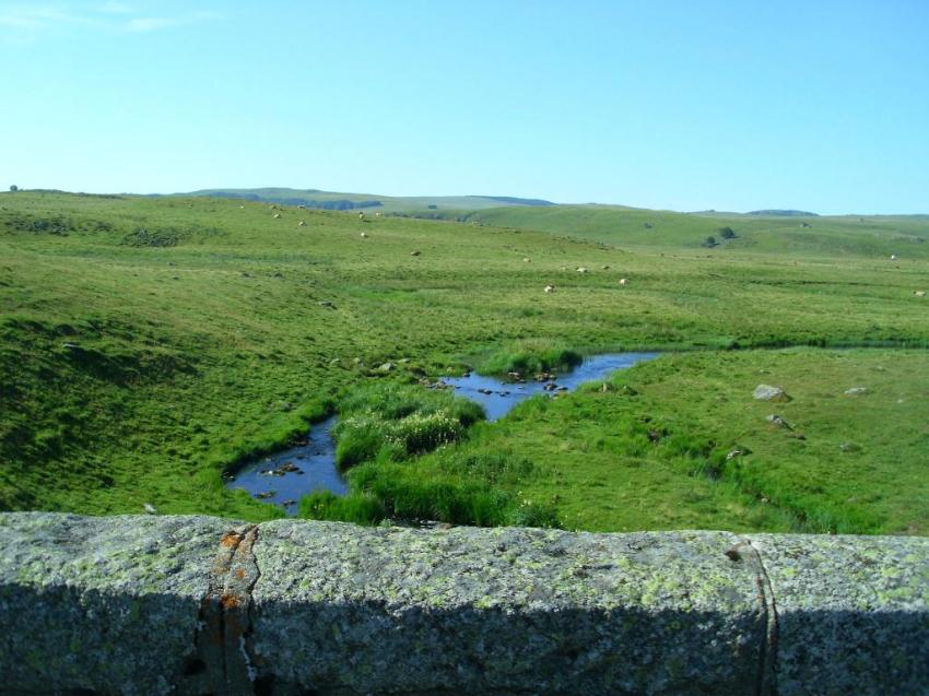 pont de gournier la pleches