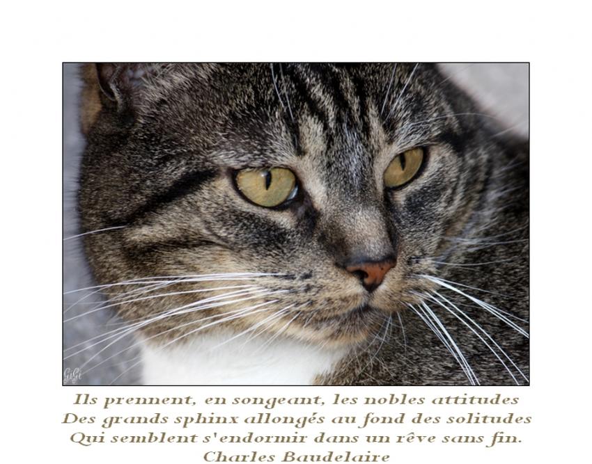 Regard.