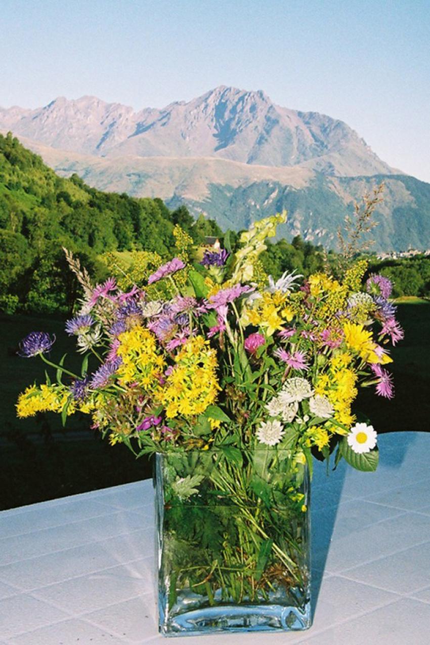 Fleurs Champtres