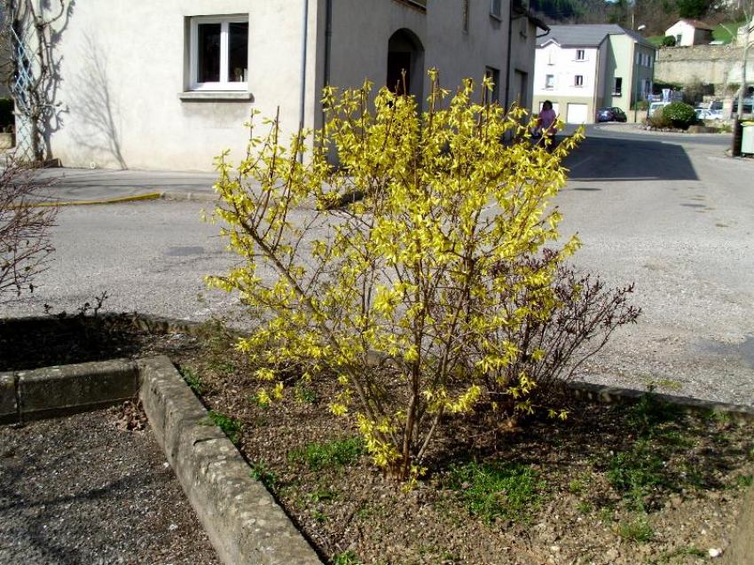 st jean de bruel