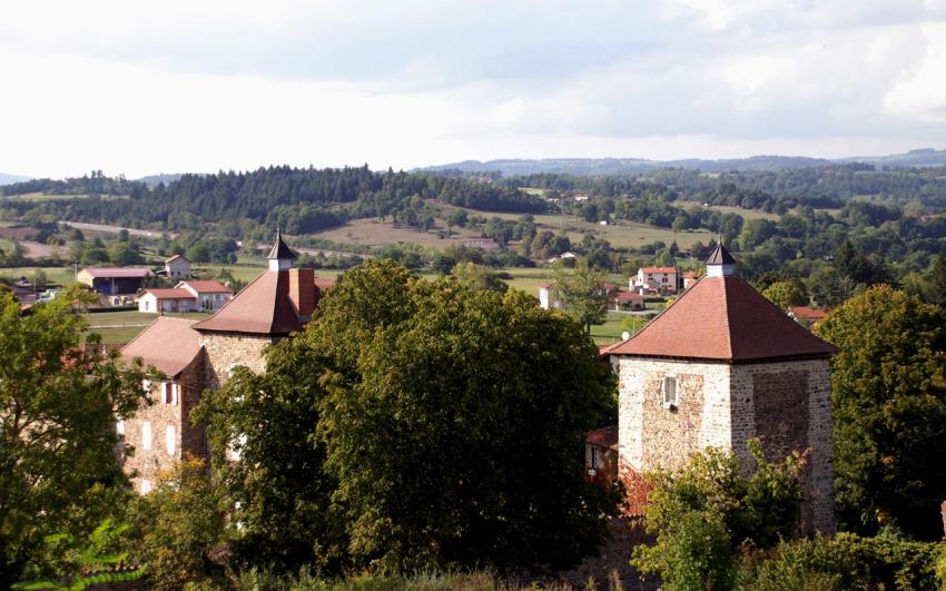 Taureau a Grezolles ,Loire 42