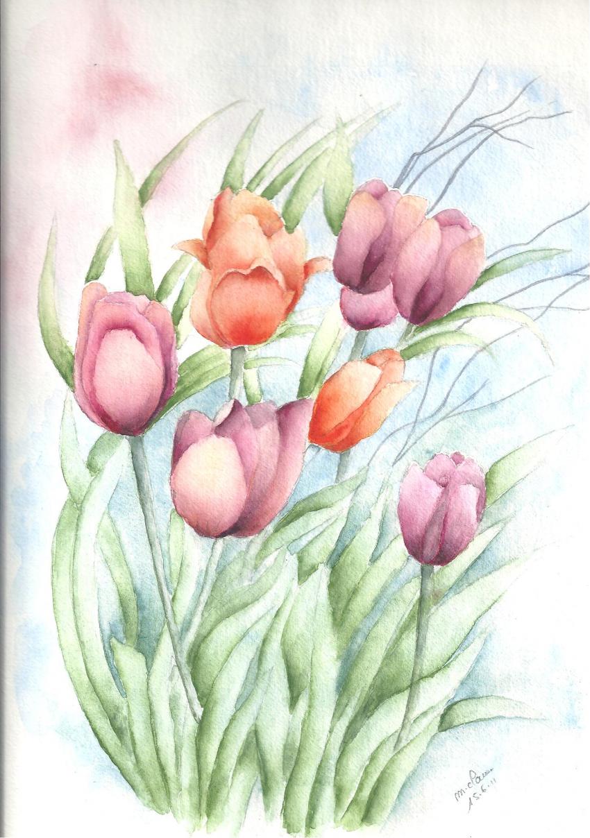 BOUQUET DE TULIPES