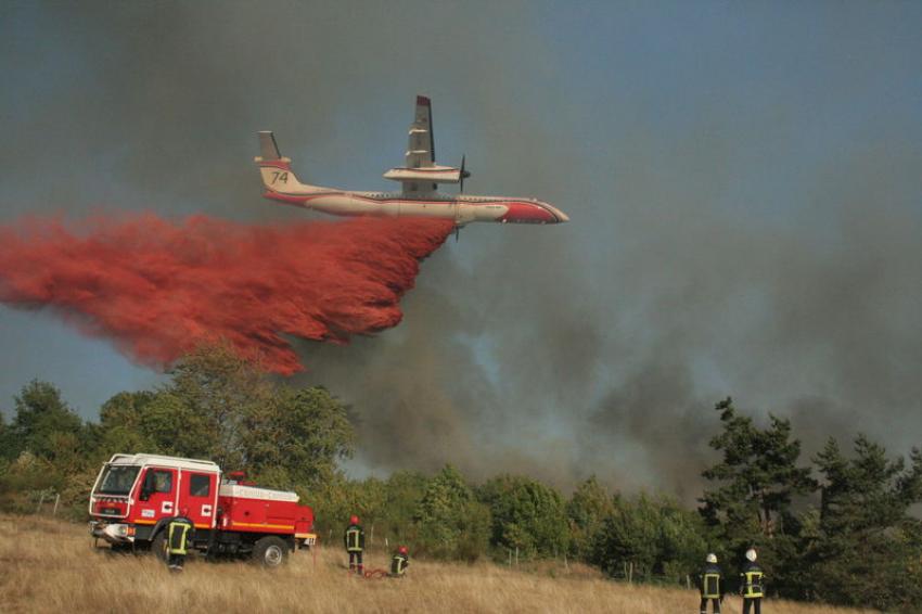 feu de foret