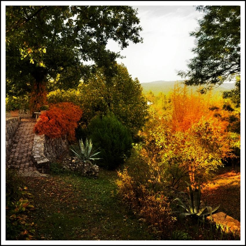 A l'automne d'un jardin....