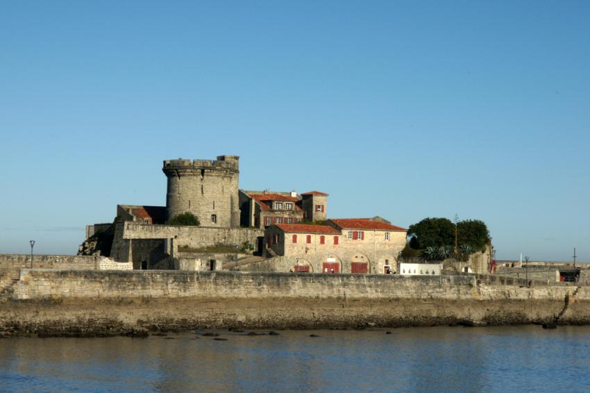Cte Basque